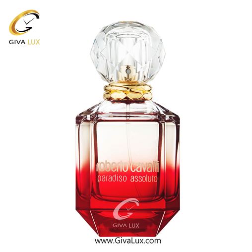   Roberto Cavalli Paradiso Assoluto-1.jpg